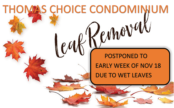 Leaf Removal Postponed