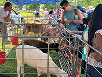 petting-zoo-web