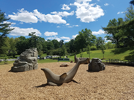 natural-playground-web