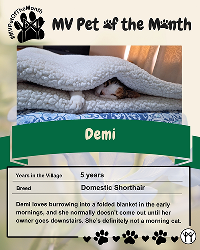 pet-of-the-month_may_demi-small