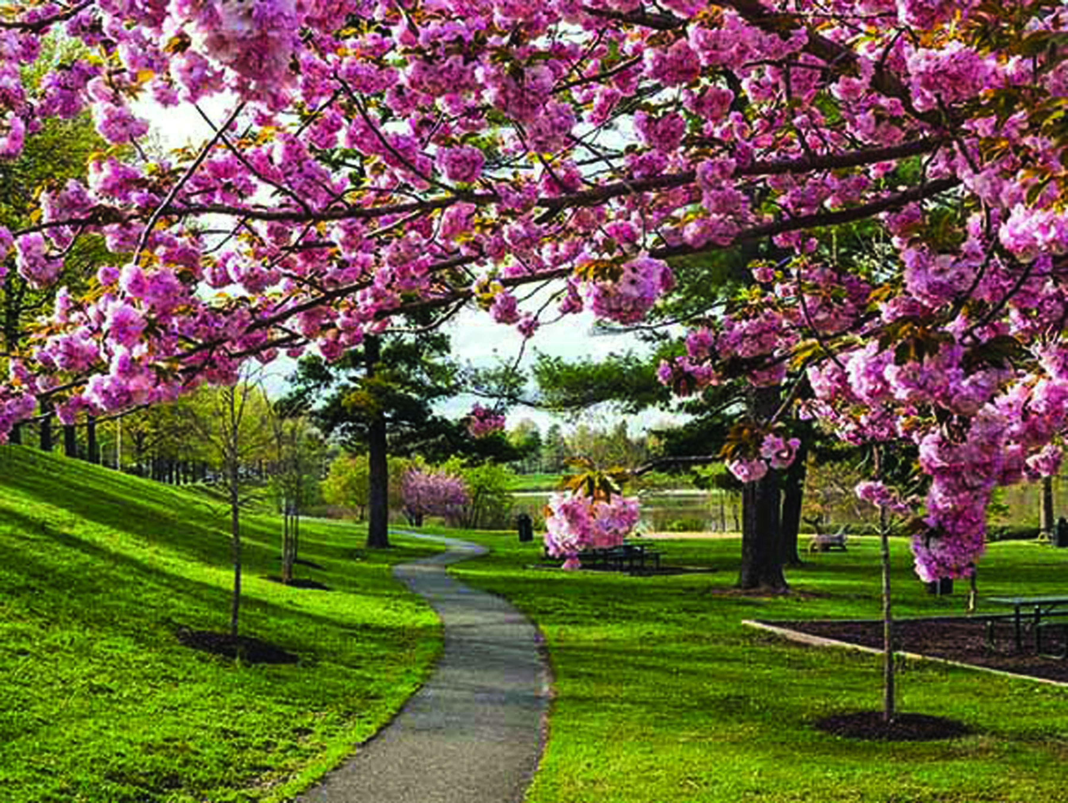 Lake Whetstone Path during the spring