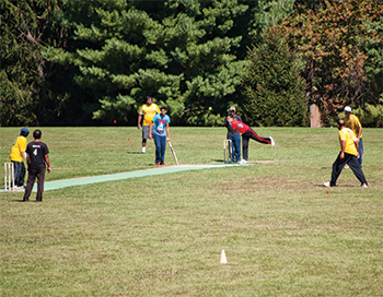 Cricket Pitch