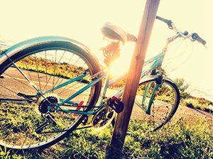 bike-by-the-lake-CMYK-Onlin_20241004-194913_1