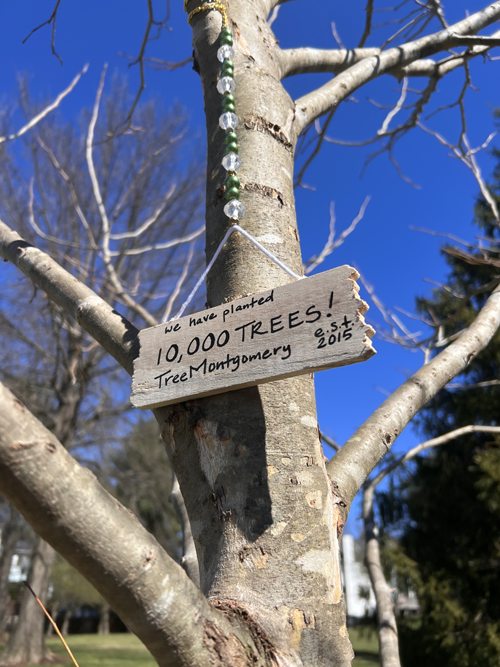 tree marker